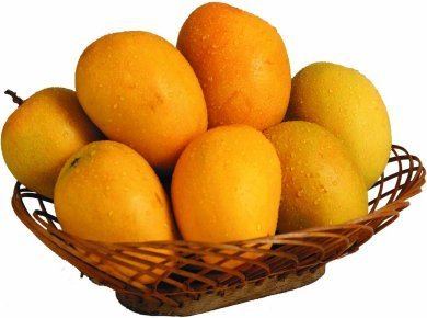 Alphonso (mango) Alphonso Mango