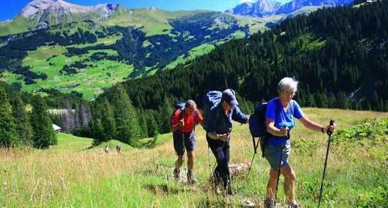 Alpine Pass Route Alpine Pass Route Walking Holidays Sherpa Expeditions