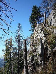 Alpine Path httpsuploadwikimediaorgwikipediacommonsthu