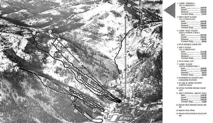 Alpine skiing at the 1960 Winter Olympics – Women's giant slalom