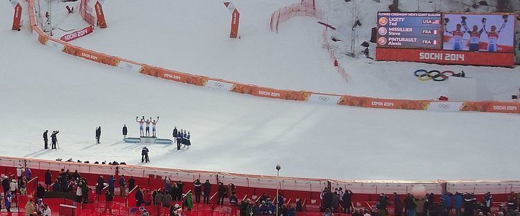 Alpine skiing at the 2014 Winter Olympics – Men's giant slalom