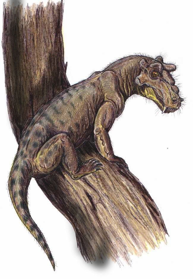 Alrausuchus