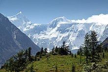 Altai Mountains httpsuploadwikimediaorgwikipediacommonsthu