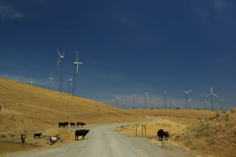 Altamont Pass Wind Farm Gigaom Google to buy wind power from Bay Area39s Altamont Pass