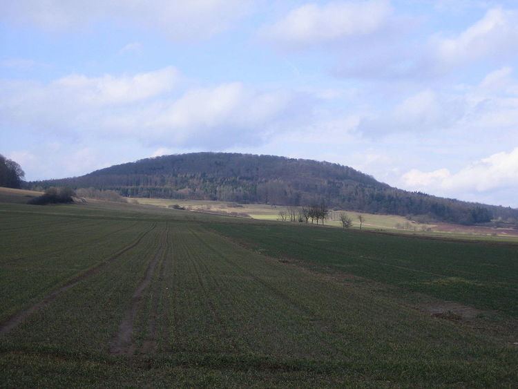 Altenburg (Niedenstein)