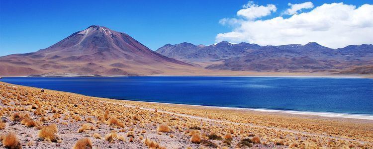 Altiplano The Altiplano Bolivia