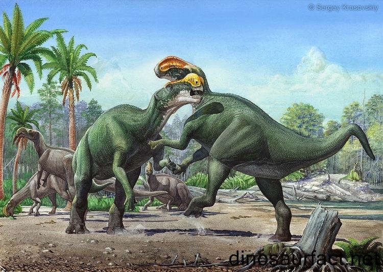 Altirhinus Altirhinus dinosaur