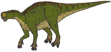 Altirhinus Altirhinus Dinosaur Facts information about the dinosaur altirhinus