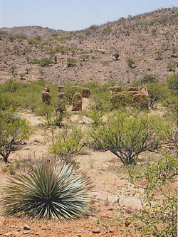 Alto, Arizona httpsuploadwikimediaorgwikipediacommonsthu