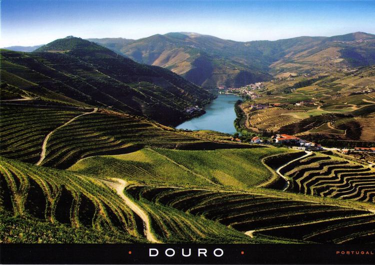 Alto Douro (region) UNESCO Alto Douro Wine Region Portugal available 1 Rafal
