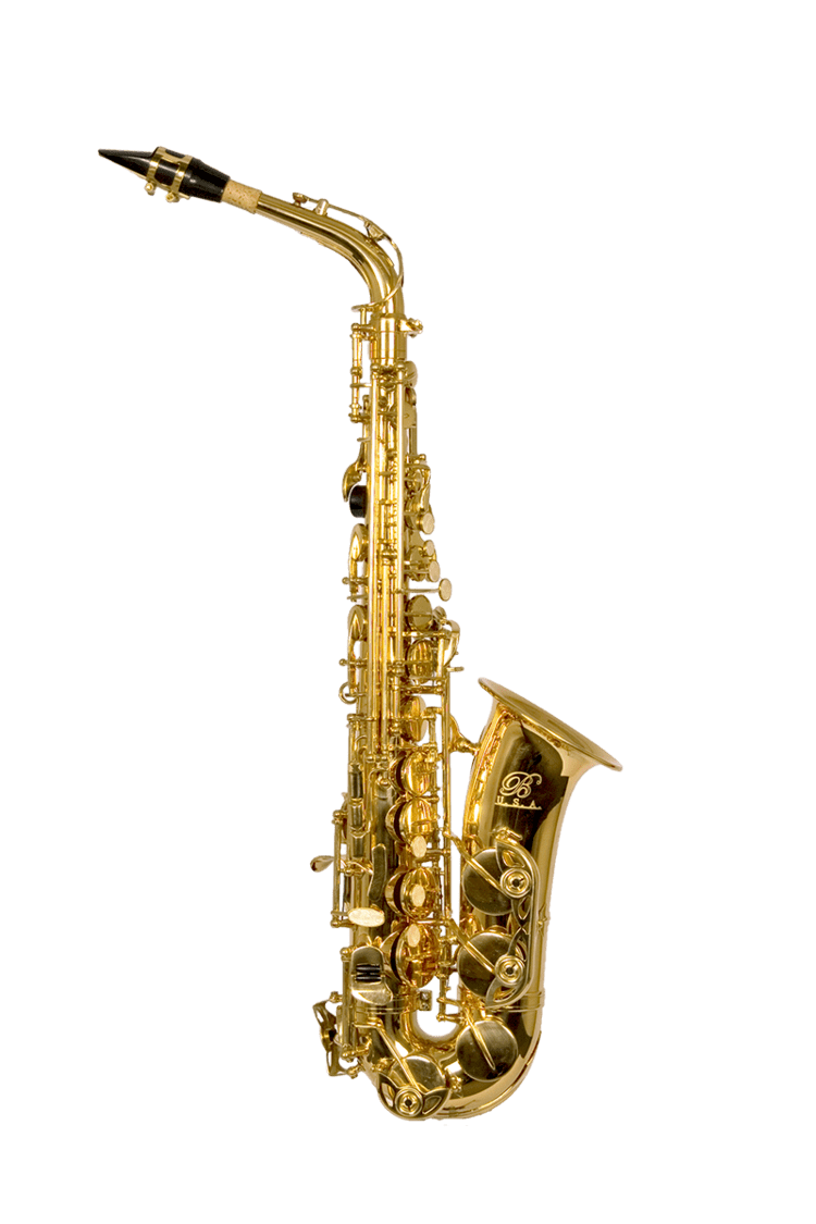 Alto saxophone B USA WASLQ Professional Alto Saxophone Lacquer Gold Color