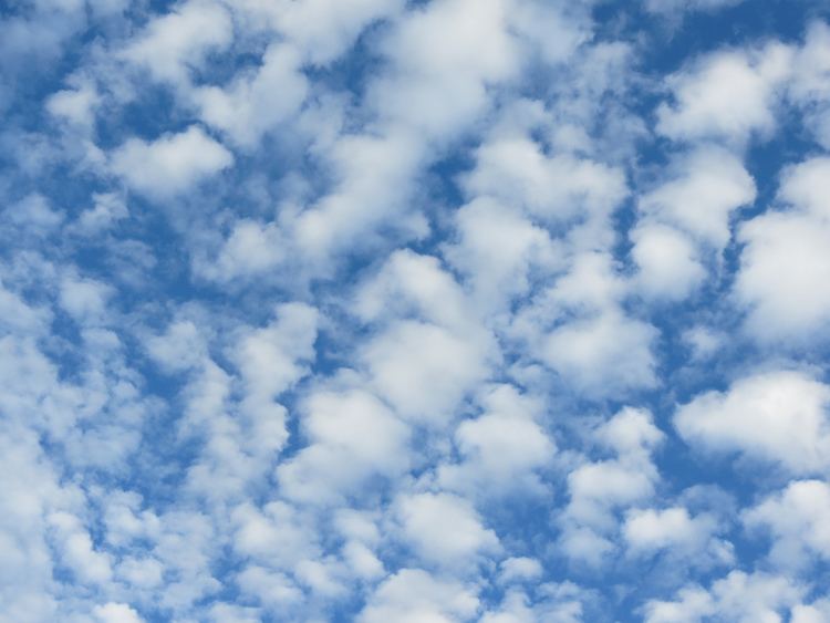 Altocumulus cloud Cloud Encyclopedia on emaze