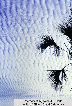 Altocumulus cloud Altocumulus Clouds parallel bands or rounded masses