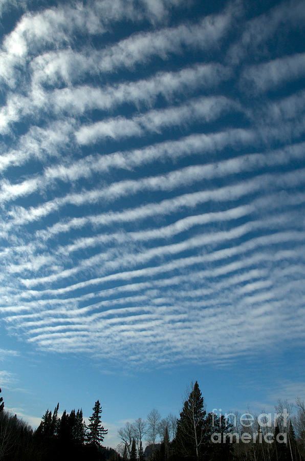 Altocumulus undulatus cloud Altocumulus Undulatus Clouds Photograph by Stephen J Krasemann