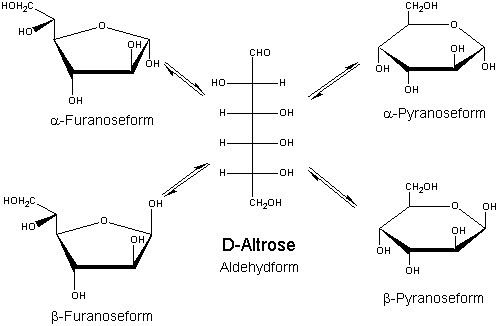 Altrose FileDAltroseAldehydPyranoseFuranosepng Wikimedia Commons