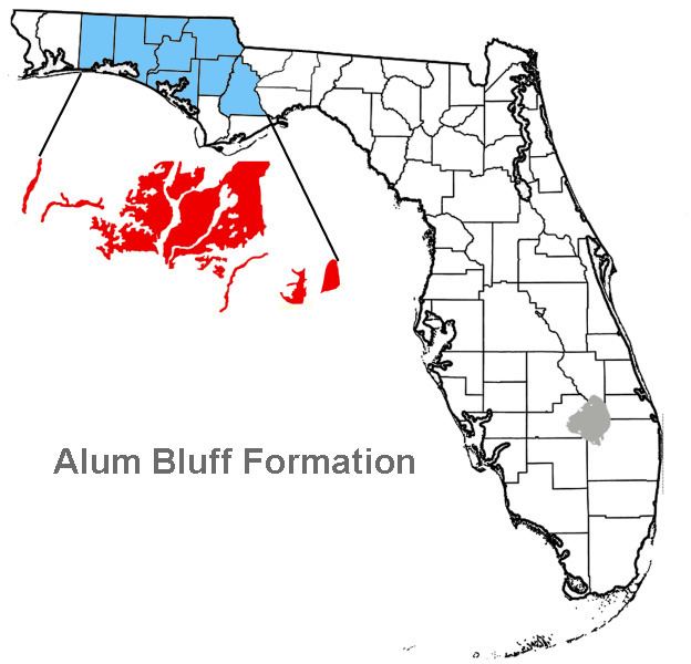 Alum Bluff Formation