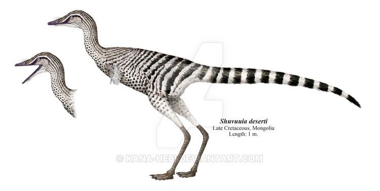 Alvarezsauridae alvarezsauridae DeviantArt