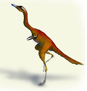 Alvarezsauridae Palaeos Vertebrates Coelurosauria Alvarezsauridae