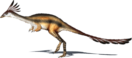 Alvarezsaurus ALVAREZSAURUS DinoChecker dinosaur archive