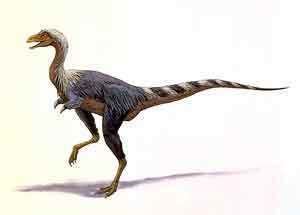 Alvarezsaurus Alvarezsaurus calvoi dinosaur Planet Dinosaur