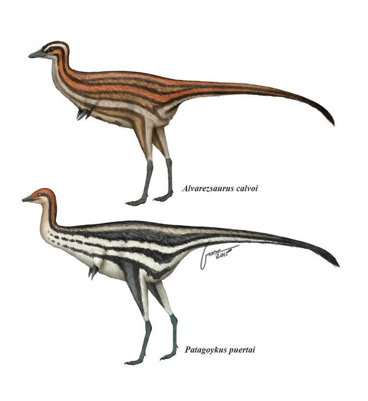 Alvarezsaurus alvarezsaurus DeviantArt