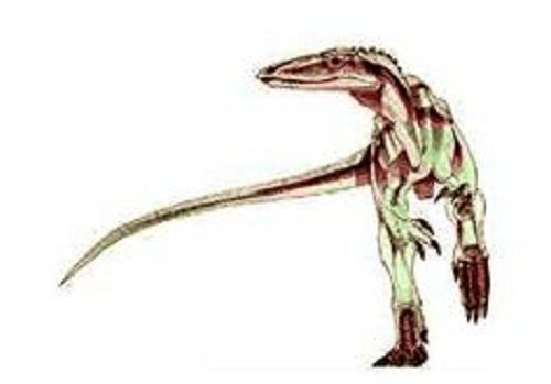 Alwalkeria Alwalkeria Dinosaur Fact Dinosaurs Pictures and Facts