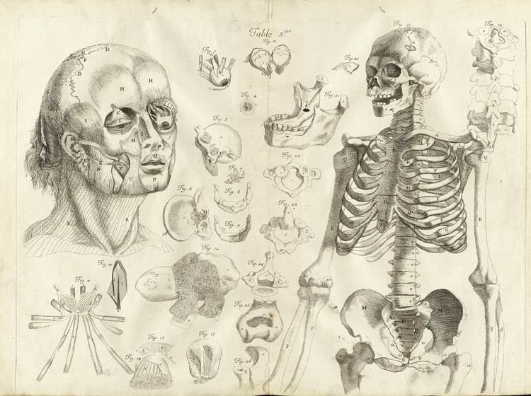 Amé Bourdon Historical Anatomies on the Web Am Bourdon Home