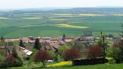 Amance, Meurthe-et-Moselle francoismunier1freefrimageslaitrepanoramaam