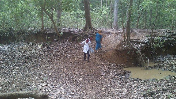 Amarambalam Panoramio Photo of Amarambalam Wildlife Sanctuary