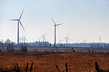 Amaranth Wind Farm httpsuploadwikimediaorgwikipediacommonsthu