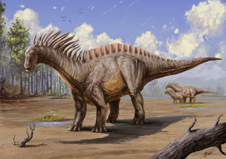 Amargasaurus Karel Cettl Amargasaurus cazaui