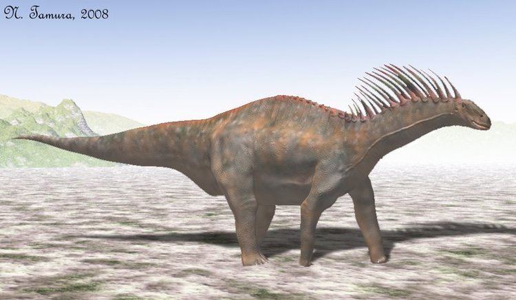 Amargasaurus Amargasaurus Facts and Pictures