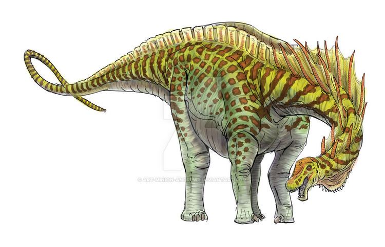 Amargasaurus Amargasaurus Facts and Pictures
