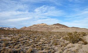Amargosa Desert httpsuploadwikimediaorgwikipediacommonsthu