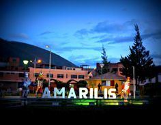 Amarilis District httpssmediacacheak0pinimgcom236x23a652