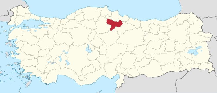 Amasya (electoral district)