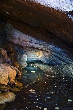 Amatérská Cave httpsuploadwikimediaorgwikipediacommonsthu