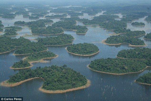 Amazon basin Hydropower in the Amazon basin is threatening hundreds of rare