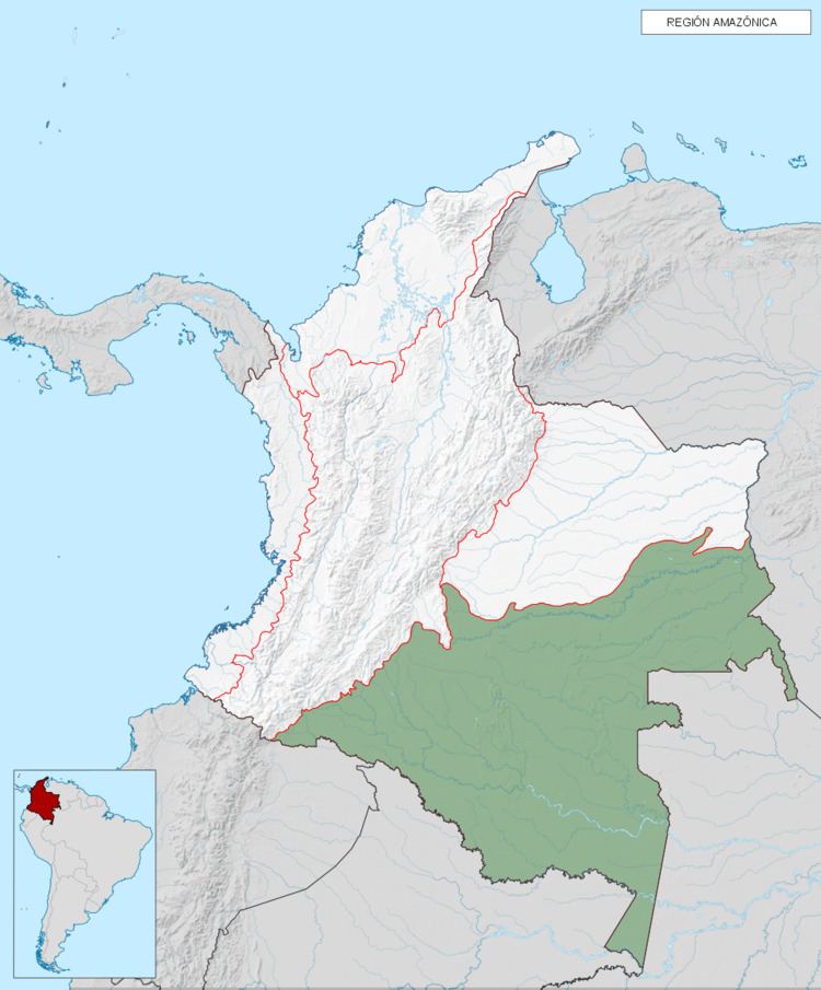 Amazon natural region