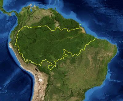 Amazon rainforest httpsuploadwikimediaorgwikipediacommonsff