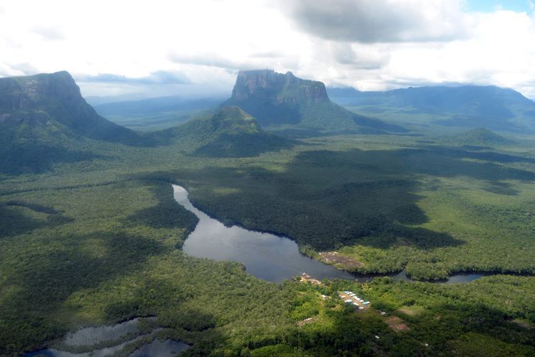 Amazonas (Venezuelan state) httpssmediacacheak0pinimgcomoriginalsbb