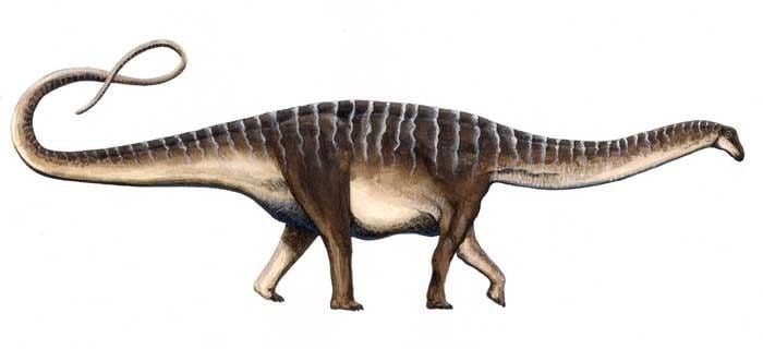 Amazonsaurus - Alchetron, The Free Social Encyclopedia