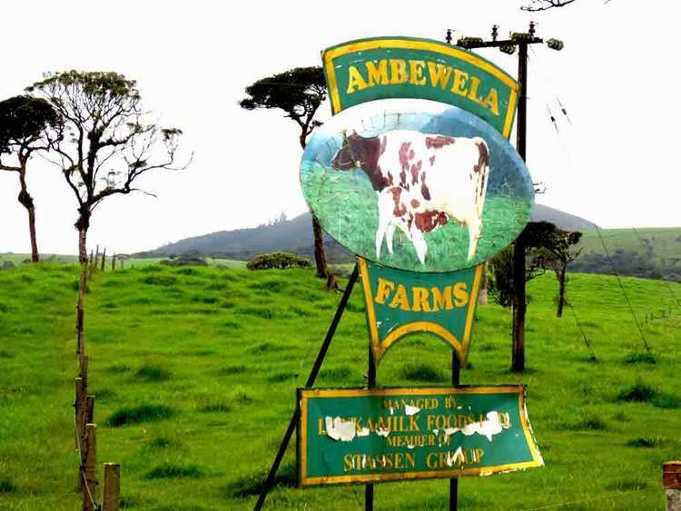 Ambewela Real Feeling of Ambewela Wind Power amp Ambewela Farm Nuwara Eliya