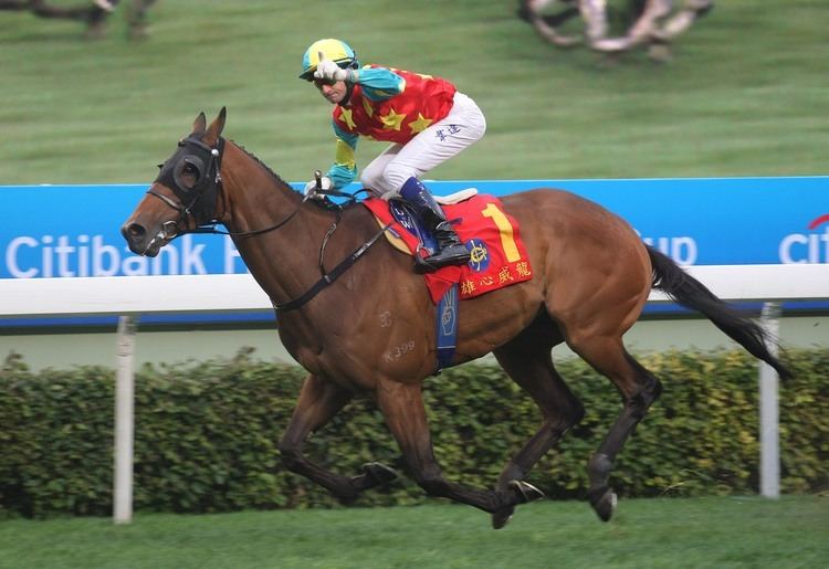 Ambitious Dragon Overseas stars aim to end home grip on G1 BMW Champions Mile