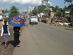Ambo, Ethiopia httpsuploadwikimediaorgwikipediacommonsthu