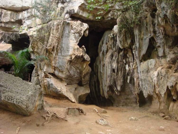 Amboni Caves memafricacomwebimagesAmbonijpg