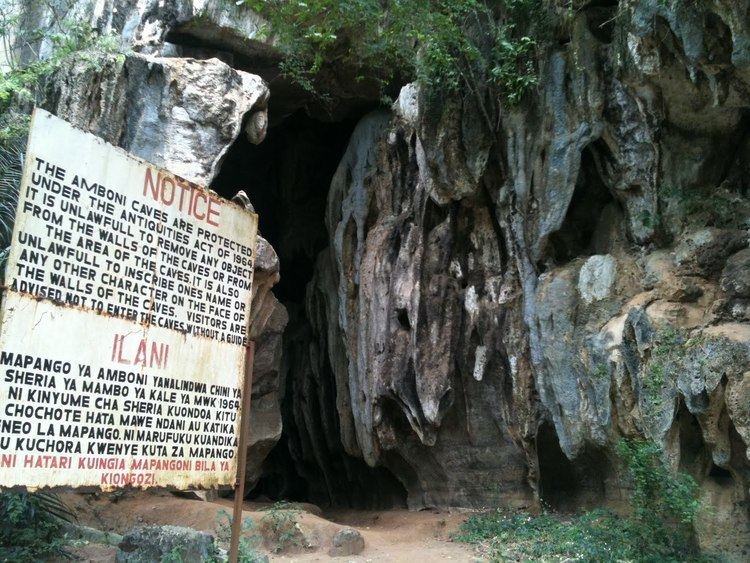 Amboni Caves TANGA AMBONI LIMESTONE CAVES WELCOME TO THE PRIDE OF TANZANIA BLOG