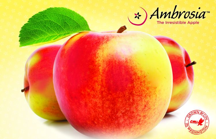 Ambrosia (apple) Ambrosia Apple Sales Jumped in October Grocery Headquarters
