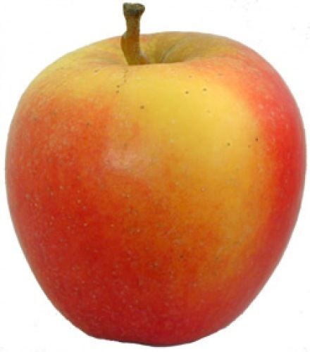 Ambrosia (apple) Martin39s Fruit Farm Apple Varieties