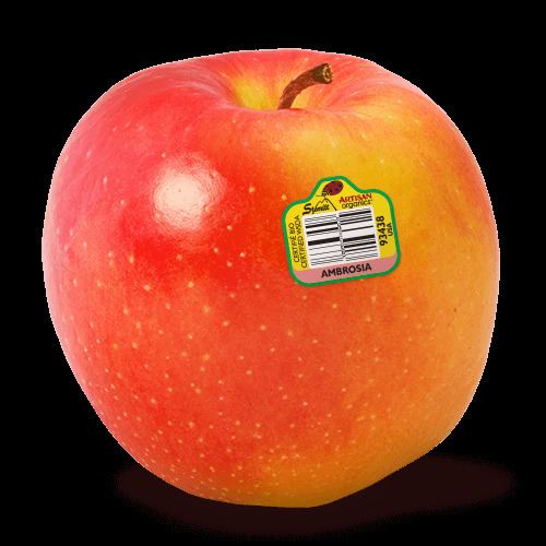 Ambrosia (apple) httpss2uqdnlqz93lrjbq205ld0euwpenginenetdnas